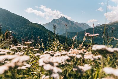 So vielfältig ist dein Sommerurlaub im Bike Hotel Sölden 